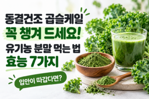 동결건조 곱슬케일 효능과 먹는 법