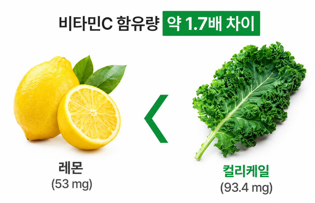 동결건조 곱슬케일 꼭 챙겨 드세요! 입안 구내염이 바로 아물어요~ 유기농 분말 먹는 법과 효능 7가지 5 비타민C 함유량 비교 인포그래픽