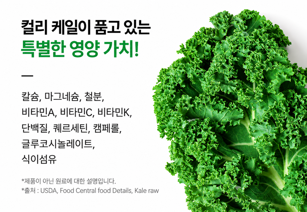 동결건조 곱슬케일 꼭 챙겨 드세요! 입안 구내염이 바로 아물어요~ 유기농 분말 먹는 법과 효능 7가지 3 컬리 케일의 특별한 영양 가치